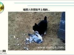 每日快乐早会16年5月20日使用15页.ppt