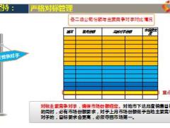 保险公司业务发展情况汇报模板15页.ppt
