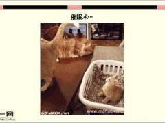 每日快乐早会16年5月24日使用15页.ppt