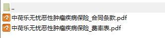 中荷人寿乐无忧恶性肿瘤疾病保险费率.rar