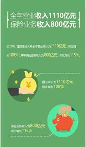 一张图让你看懂富德生命人寿2015年年报9页.ppt