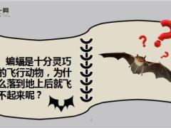 每日正能量早会故事飞翔是因为拒绝坠落10页.ppt