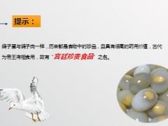 每日健康鸽子蛋虽小但补肝肾益气血营养大16页.ppt