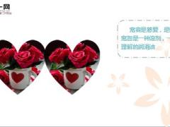 每日心灵鸡汤宽容原来那么美.rar