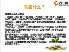 不一样的泰康销售幸福有约销售基础训练22页.ppt