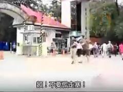 搞笑视频王幺叔儿卖保险方言配音秀.rar
