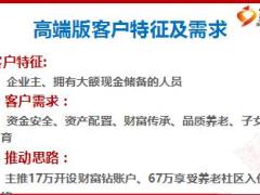 太平畅享世家目标市场销售流程高端版44页.ppt