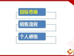 太平畅享世家目标市场销售逻辑大众版35页.ppt