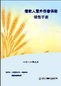 华夏借款人意外伤害保险销售手册10页.rar