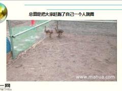 每日快乐早会16年5月30日使用15页.ppt
