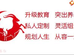 太保东方红样样红产品训练三个一29页.ppt