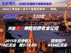 2016版中英人寿公司简介18页.ppt