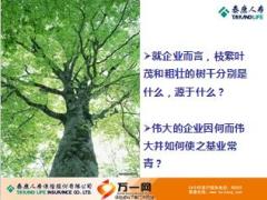 与泰康共成长愿景使命核心价值经营理念发展战略48页.ppt