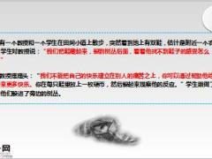 每日保险故事在鞋子里放入一个硬币8页.ppt