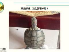 每日快乐早会16年6月02日使用15页.ppt