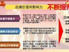 中国人寿营销20周年荣誉见证会创说会专题团队版37页.ppt