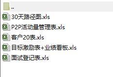 P2P活动量管理30天路径图客户20面试登记目标激励表.rar