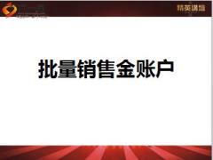 绩优分享批量销售泰康金账户26页.ppt