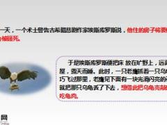 每日保险故事倒霉的埃斯库罗斯7页.ppt