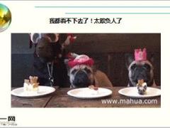 每日快乐早会16年6月7日使用15页.ppt