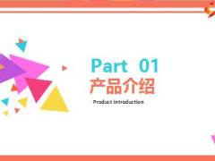 国寿乐享随心驾乘有我驾乘保险宣导教案17页.ppt