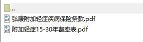 弘康人寿附加轻症疾病保险条款费率.rar