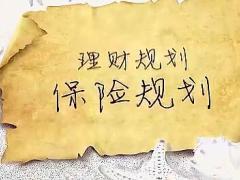 视频5分钟让你了解保险规划的重要性.rar