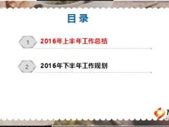 2016年师资系列上半年度工作总结10页.ppt