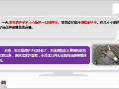 每日保险故事农夫与驴子8页.ppt