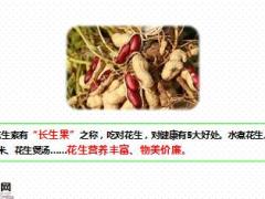 每日健康常吃花生的5大惊人好处8页.ppt