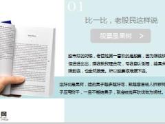 人均亏46万股灾一周年10页.ppt