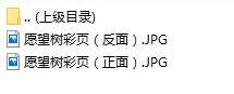中意人寿愿望树教育综合保险计划三折页.rar