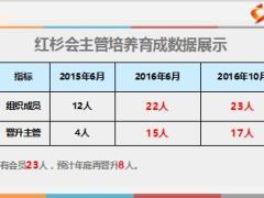 保险公司创新项目红杉会主管培养操作细则19页.ppt