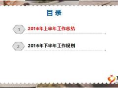 2016年保险公司培训部主管条线半年度总结12页.ppt