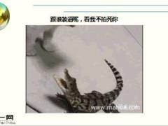 每日快乐早会16年6月20日使用15页.ppt