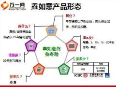 工银安盛人寿鑫如意营销案例分享21页.ppt