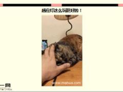 每日快乐早会16年6月23日使用15页.ppt
