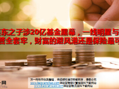 霍英东之子涉20亿基金黑幕10页.ppt