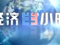 视频CCTV经济半小时谁制造了毒跑道.rar
