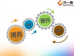 保险公司网络增员技巧育成体系建设18页.ppt