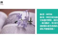 每日心灵鸡汤静真的很美.rar