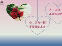 每日心灵鸡汤懂是世界上最温情的语言.rar