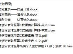 招商信诺寰球至尊高端个人医疗保险C款条款费率表计算器保障利益表.rar