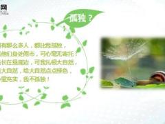 每日心灵鸡汤问草.rar