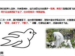 每日保险故事过冬的燕子7页.ppt