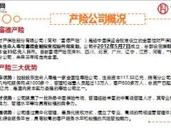 富德财险综合开拓车险启动宣导41页.ppt