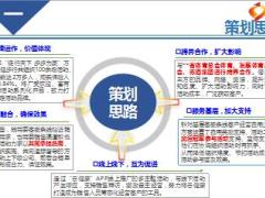2016年保险公司万人公益健步行活动方案宣导19页.ppt