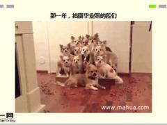 每日快乐早会16年7月4日使用15页.ppt