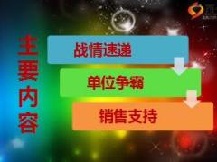 2016年保险公司五六联动十年期业务推动战报模板29页.ppt