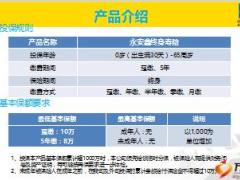 中英人寿永安鑫终身寿险产品培训12页.ppt